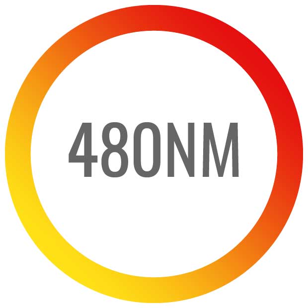 Wavelengths-480