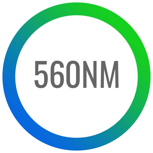 Wavelengths-560
